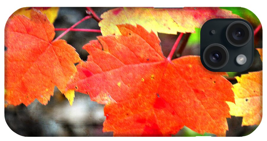 Fall iPhone Case featuring the photograph Maple Leafs Ablaze by Marty Koch
