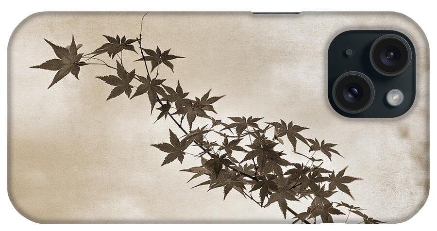 Branch iPhone Case featuring the photograph Maple by Linda Lees
