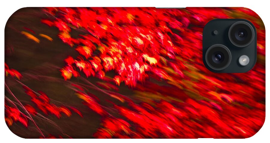 Acadia National Park iPhone Case featuring the photograph Maple Red abstract by Brian Green