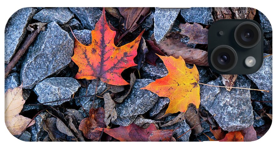 Autumn iPhone Case featuring the photograph Maple Rocks by Todd Bannor
