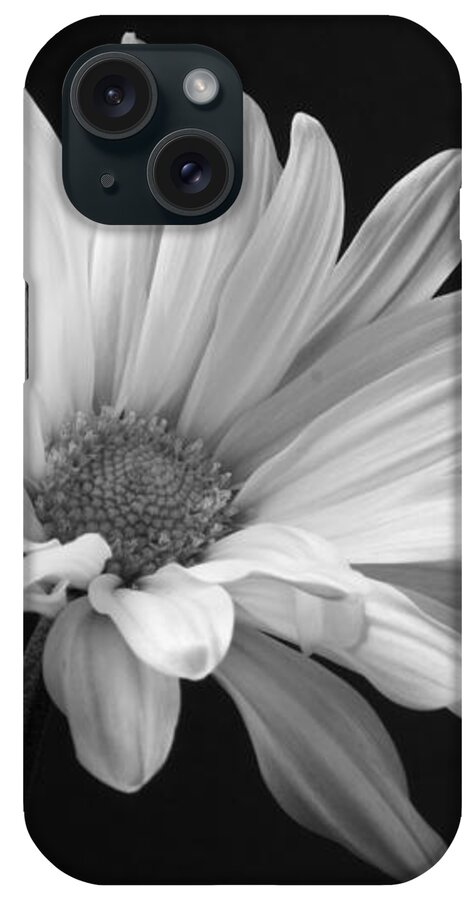 Marguerite iPhone Case featuring the photograph Marguerite Daisy by Kelly Holm