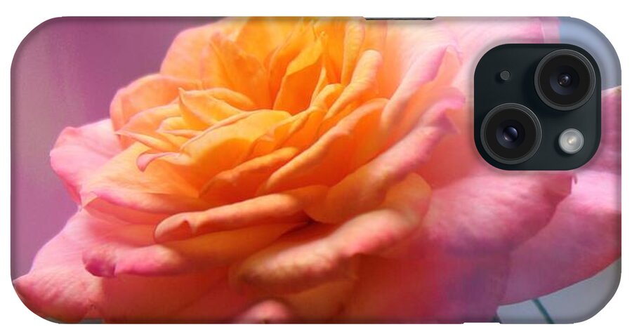 Rose iPhone Case featuring the photograph Marie's rose by MaryLee Parker