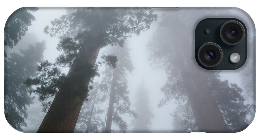 Yosemite National Park iPhone Case featuring the photograph Mariposa Grove Winter by Kyle Hanson