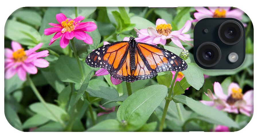 Butterfly iPhone Case featuring the photograph Mariposa Monarca - Brookside Gardens-Maryland-USA by Riccardo Forte