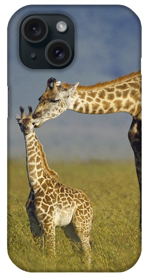Mp iPhone Case featuring the photograph Masai Giraffe Mother And Young Kenya by Tim Fitzharris