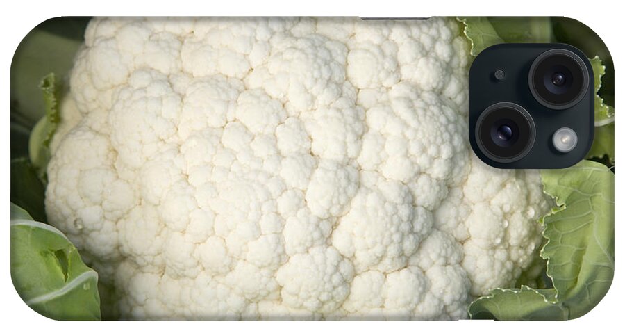 Cauliflower iPhone Case featuring the photograph Mature Cauliflower by Inga Spence