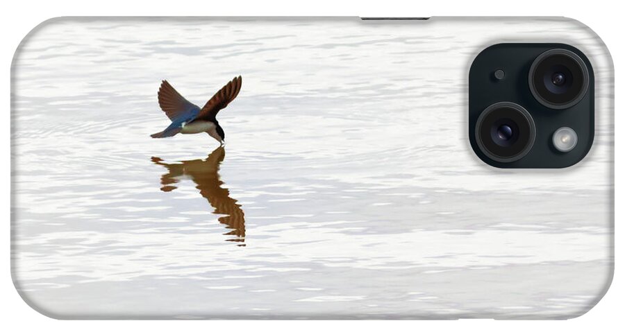 Tree Swallow iPhone Case featuring the photograph Me and My Shadow by Susan Rissi Tregoning