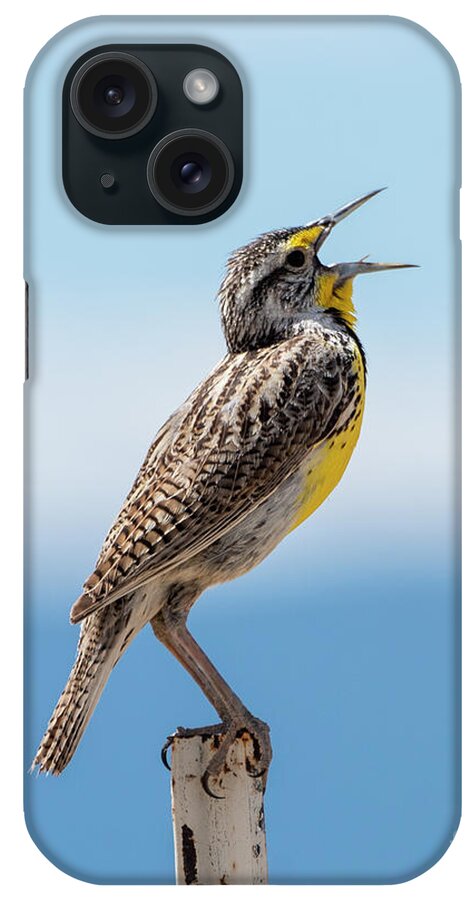 Natanson iPhone Case featuring the photograph Meadowlark Singing by Steven Natanson