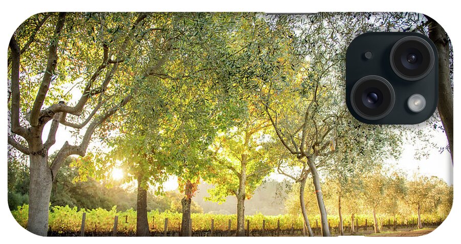 Meadowood iPhone Case featuring the photograph Meadwood Olive Trees by Aileen Savage