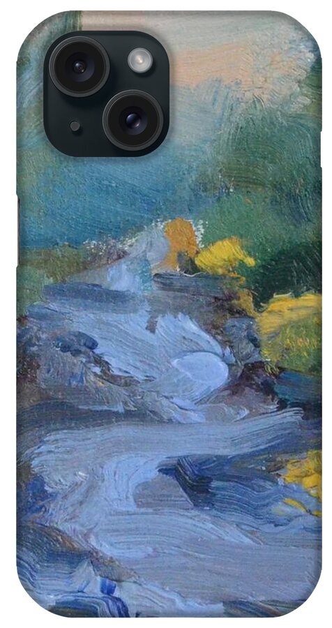 Winding River iPhone Case featuring the painting Meandering River by Donna Tuten