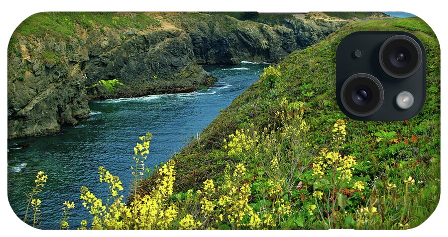 Mendocino iPhone Case featuring the photograph Mendocino Headlands by Charlene Mitchell