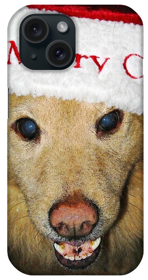 Dog iPhone Case featuring the photograph Merry Christmas by Sarah Loft