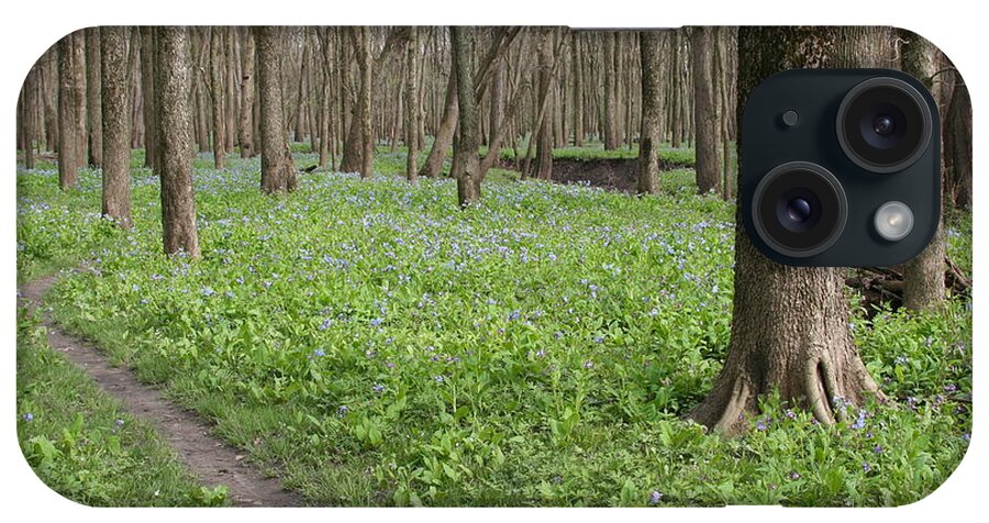 Merwin Early Spring Path iPhone Case featuring the photograph Merwin Early Spring Path by Dylan Punke