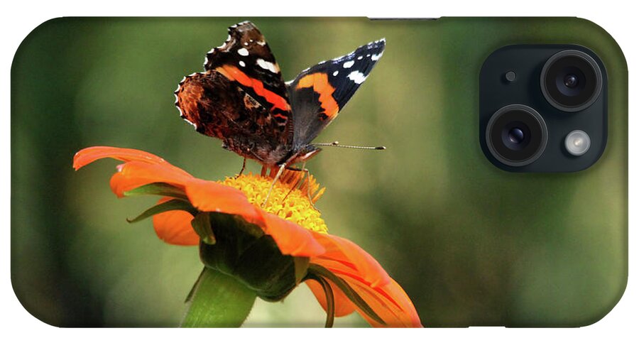 Butterfly iPhone Case featuring the photograph Mexican Sunflower With Red Admiral by Debbie Oppermann