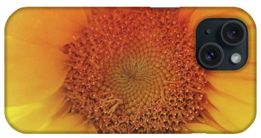 Natureaddict iPhone Case featuring the photograph #mextures #mexturesapp #sunflower by Heather Green