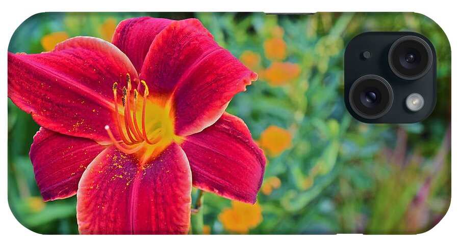 Daylily iPhone Case featuring the photograph Mid August Garden Blazing Daylily 1 by Janis Senungetuk