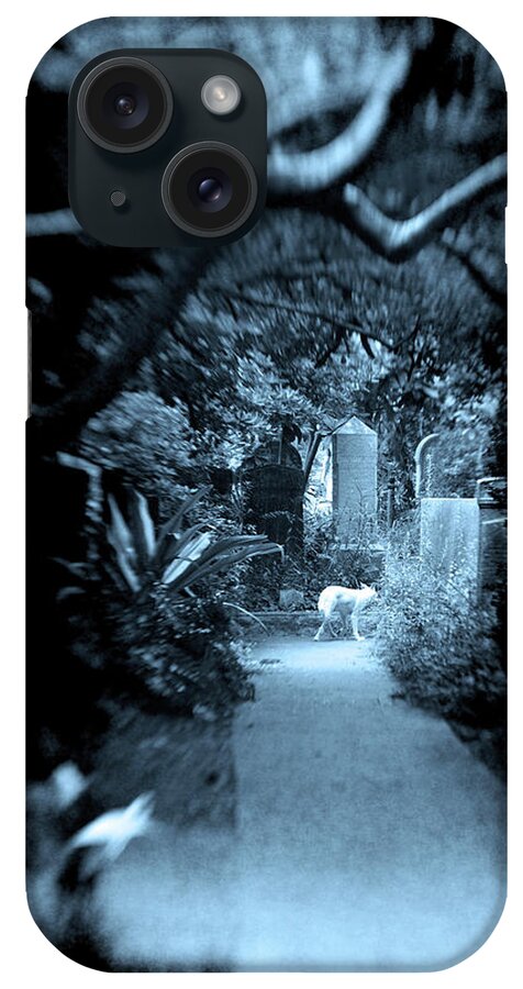 White Wolf Graveyard Overhanging Trees Oak Live Overgrown Blue Cyan Midnight Animal Mysterious Haunted Haunting Tombstones Graves Gravestones Path Selected Focus Scary Dark iPhone Case featuring the photograph Midnight Wolf in the Cemetery by Jennifer Wright