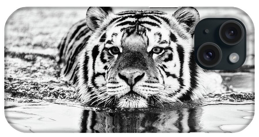 Tiger iPhone Case featuring the photograph Big Mike - BW by Scott Pellegrin