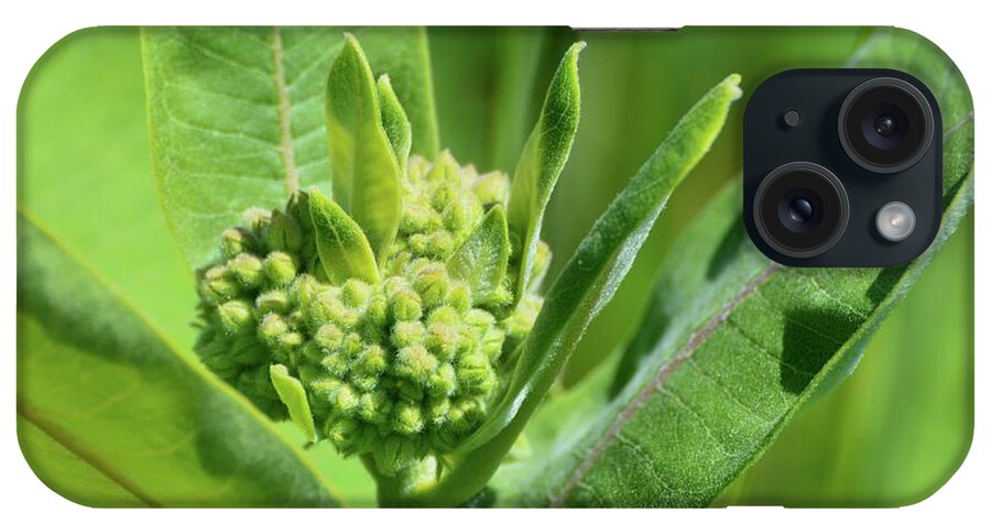 Nature iPhone Case featuring the photograph Milkweed Flower by Lyle Crump