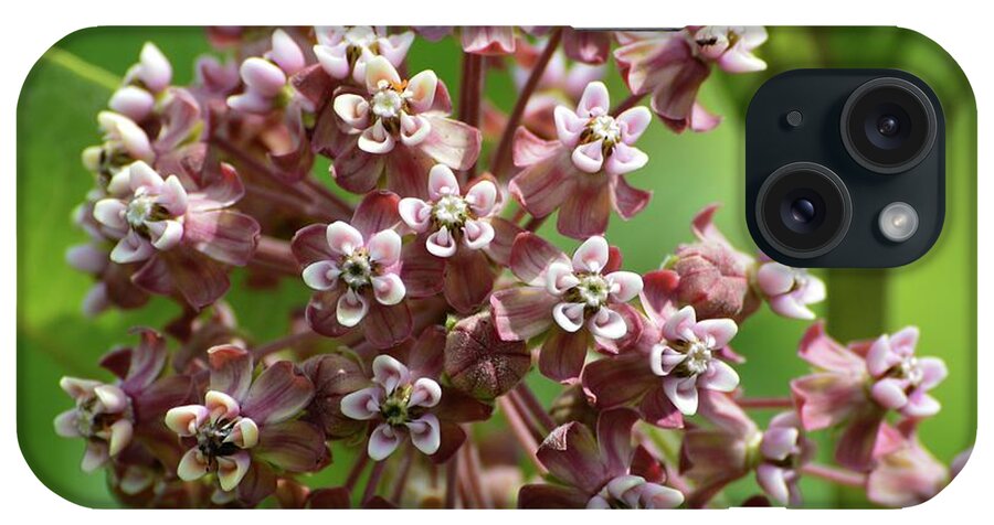 Nature iPhone Case featuring the photograph Milkweed Flowers by Lyle Crump