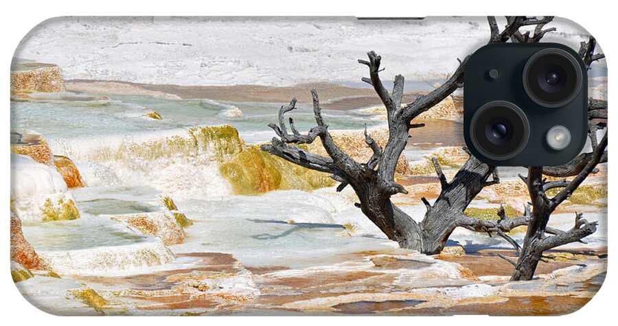 Yellowstone iPhone Case featuring the photograph Mineralized Tree by Bruce Gourley