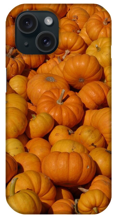 Orange iPhone 15 Case featuring the photograph Mini Pumpkins by Jeff Floyd