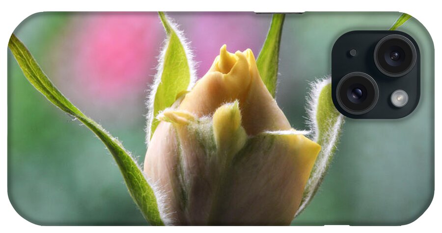 Rose iPhone Case featuring the photograph Miniature Rose Bud. by Terence Davis