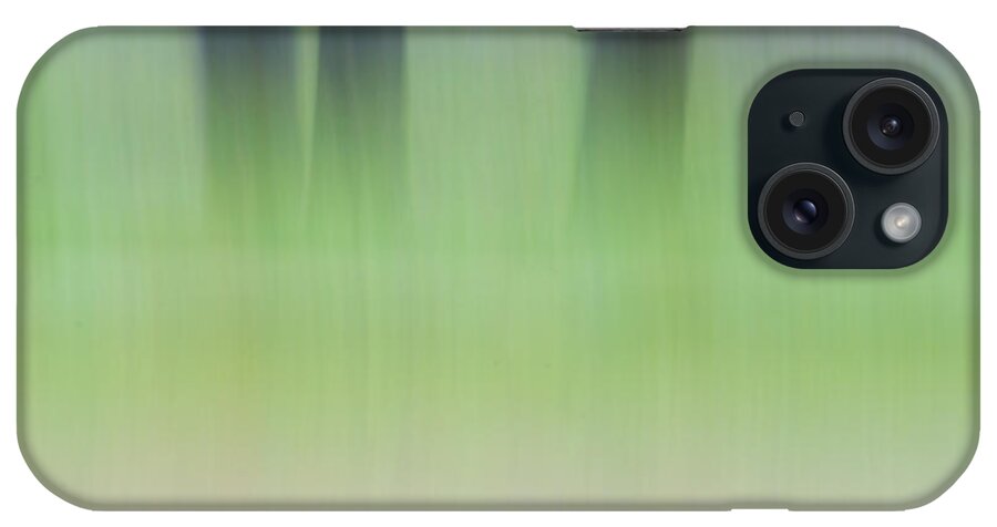 Woods iPhone Case featuring the photograph Mint Slice by Jeff Mize