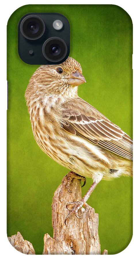 Chordata iPhone Case featuring the photograph Miss Finch Strikes A Pose On Green by Bill and Linda Tiepelman