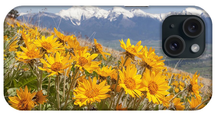 Balsam iPhone Case featuring the photograph Mission Mountain Balsam Blooms by Jack Bell