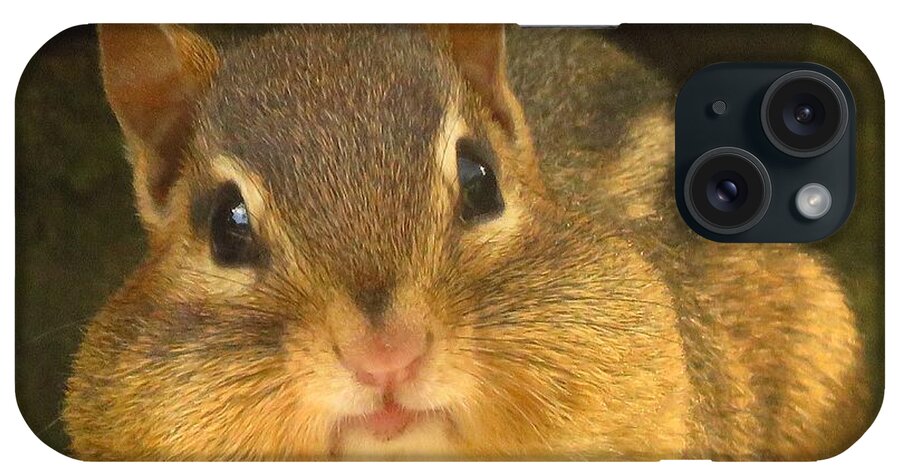 Chipmunks iPhone Case featuring the photograph Mister Chubby Cheeks by Lori Frisch