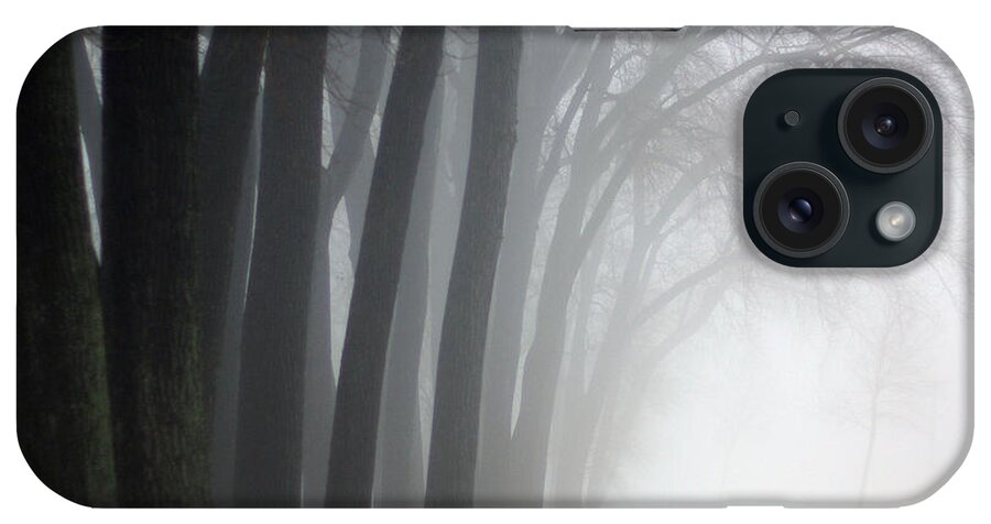 Trees iPhone Case featuring the photograph Misty Moments by Linda Mishler