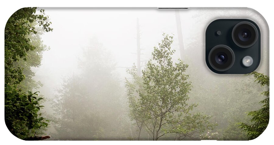 Mist iPhone Case featuring the photograph Misty Road at Forest Edge, Pocono Mountains, Pennsylvania by A Macarthur Gurmankin