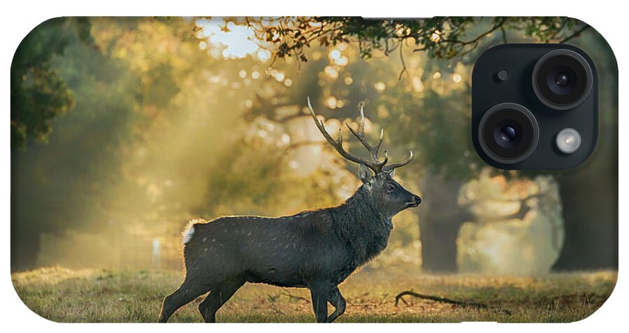Deer iPhone Case featuring the photograph Misty Walk by Scott Carruthers