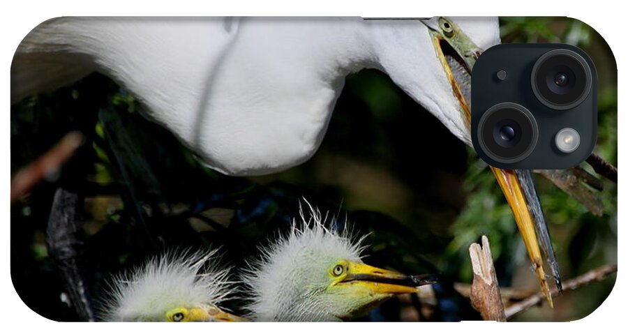Great White Egret iPhone Case featuring the photograph Momma took our food by Barbara Bowen
