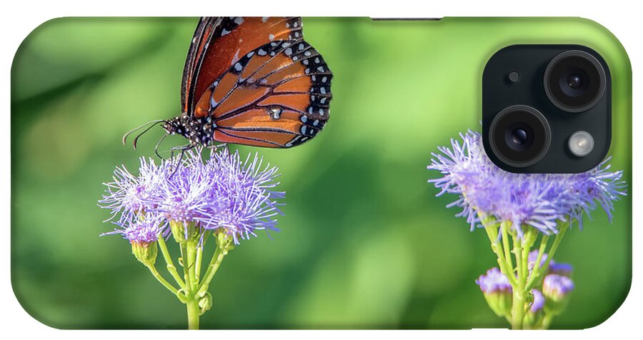 Monarch iPhone Case featuring the photograph Monarch Butterfly 7476-101017-2cr by Tam Ryan