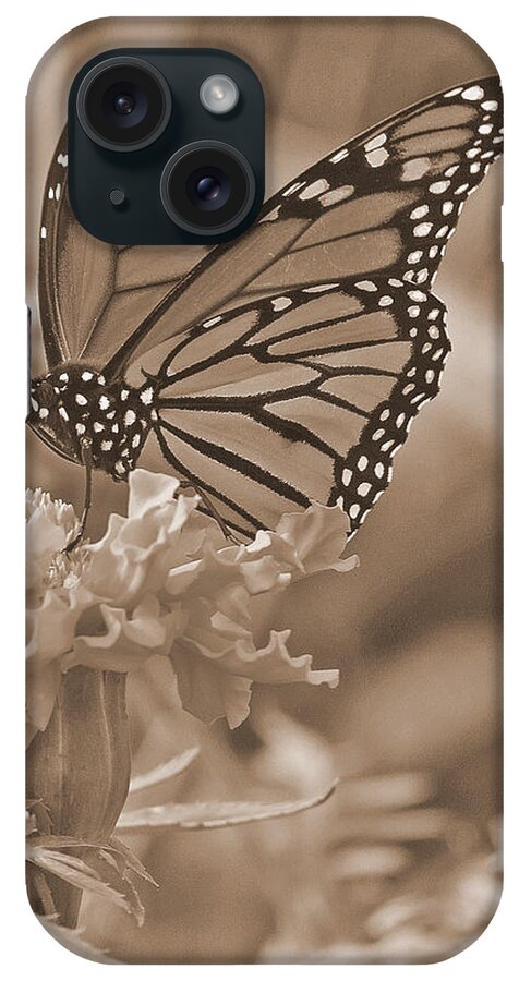 Butterfly iPhone Case featuring the photograph Monarch Butterfly And Marigold Flower In Sepia by Kay Novy