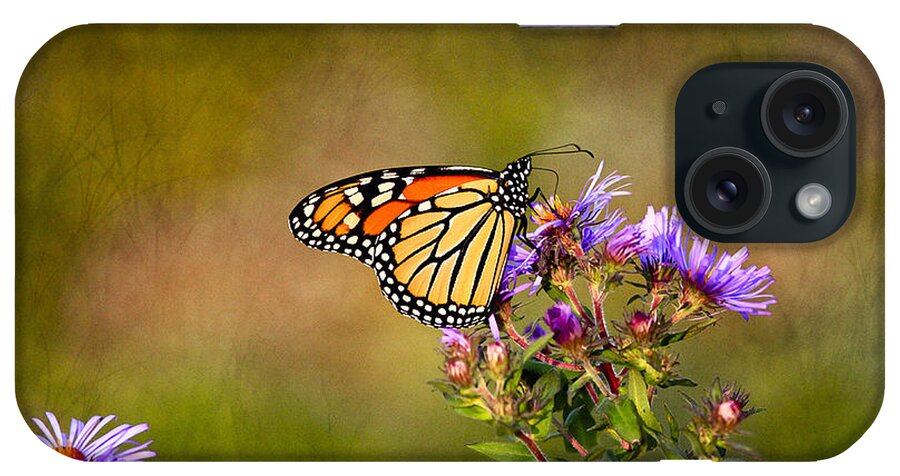 Butterfly iPhone Case featuring the photograph Monarch Butterfly in the afternoon sun by James Steele