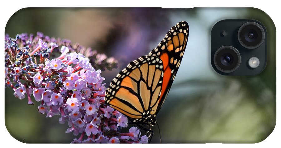 Monarch iPhone Case featuring the photograph Monarch Butterfly on a Purple Butterfly Bush by Richard Gregurich