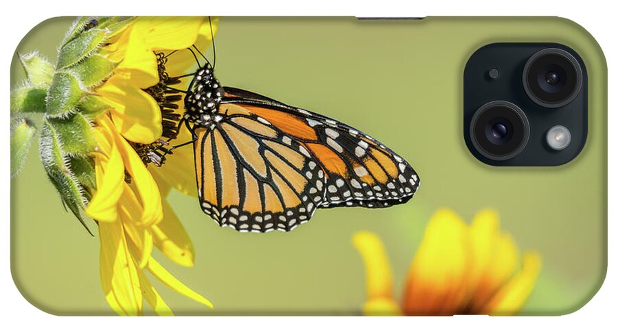 Cheryl Baxter Photography iPhone Case featuring the photograph Monarch in Sunflowers by Cheryl Baxter