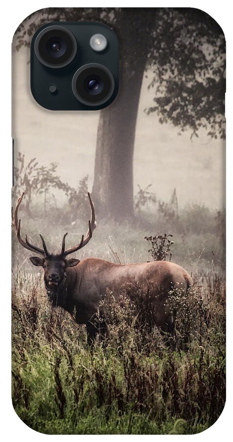 Bull Elk iPhone Case featuring the photograph Monarch in the Mist by Michael Dougherty