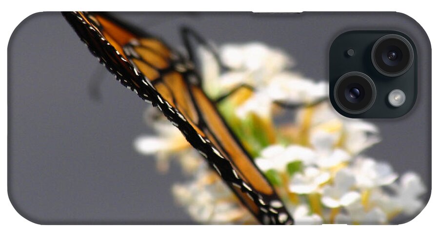 Monarch iPhone Case featuring the photograph Monarch by Juergen Roth