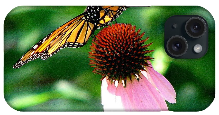 Butterfly iPhone Case featuring the photograph Monarch on Echinacea by T Guy Spencer