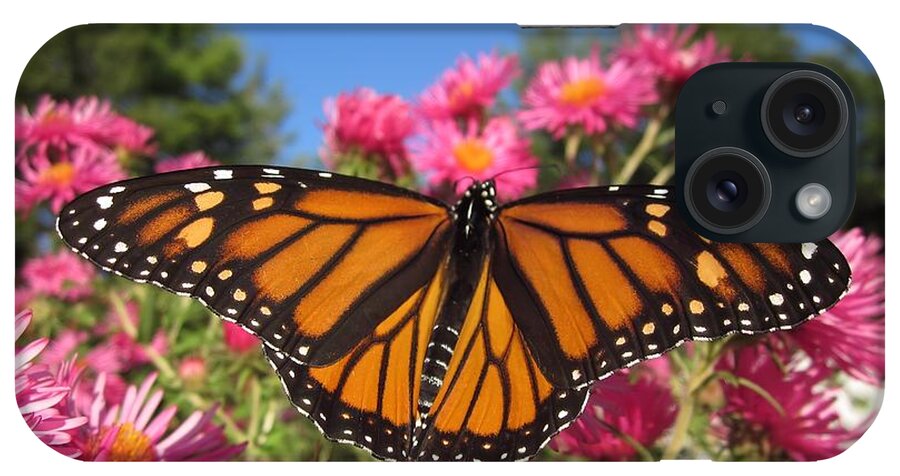 Monarch iPhone Case featuring the photograph Monarch Wings by MTBobbins Photography