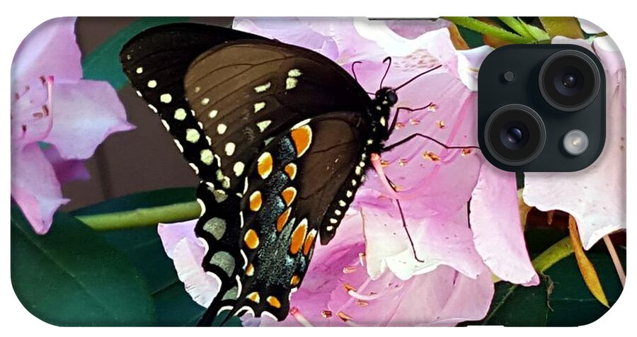 Butterfly iPhone Case featuring the photograph Tuesday Two by Dani McEvoy