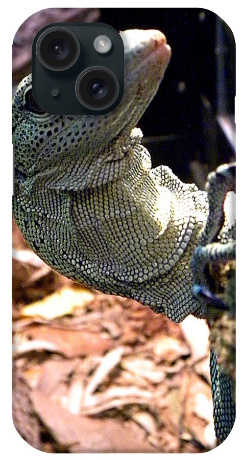 Lizard iPhone Case featuring the photograph Monitor Lizard 002 by Christopher Mercer