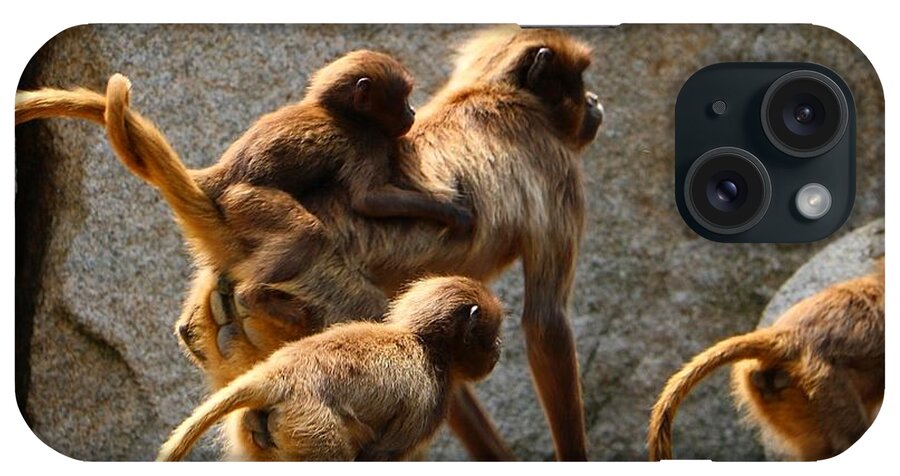 Animal iPhone Case featuring the photograph Monkey Family by Dennis Maier