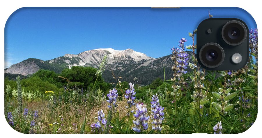 Flowers iPhone Case featuring the photograph Mammoth Meadow  by Brandon Bonafede
