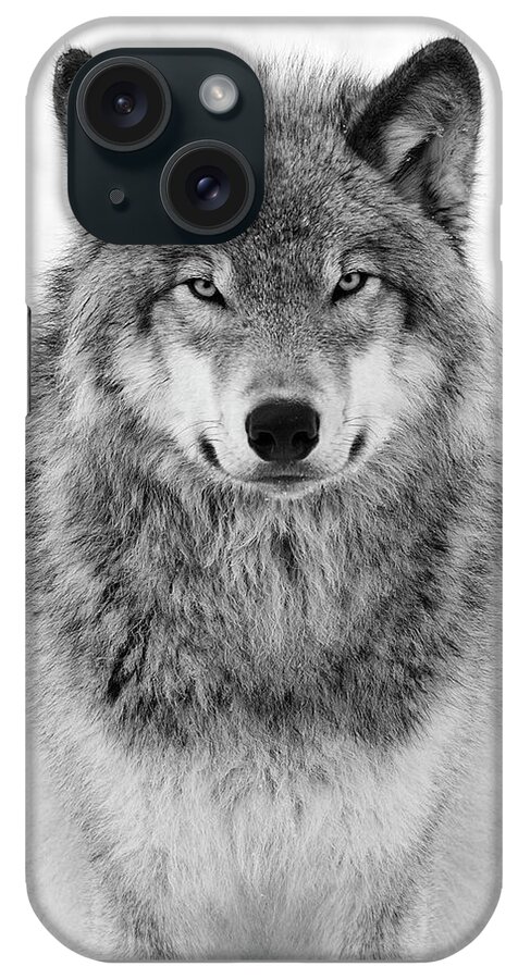 #faatoppicks iPhone Case featuring the photograph Monotone Timber Wolf by Tony Beck