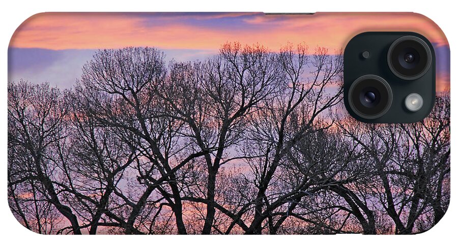 Tree iPhone Case featuring the photograph Montana Sunrise Tree Silhouette by Jennie Marie Schell